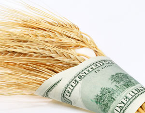 Stop the Worst Food Bill in Decades